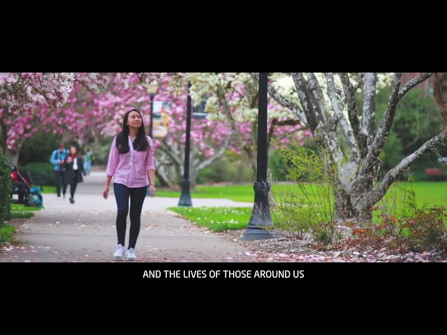 Civil Engineering: Alisha's experience