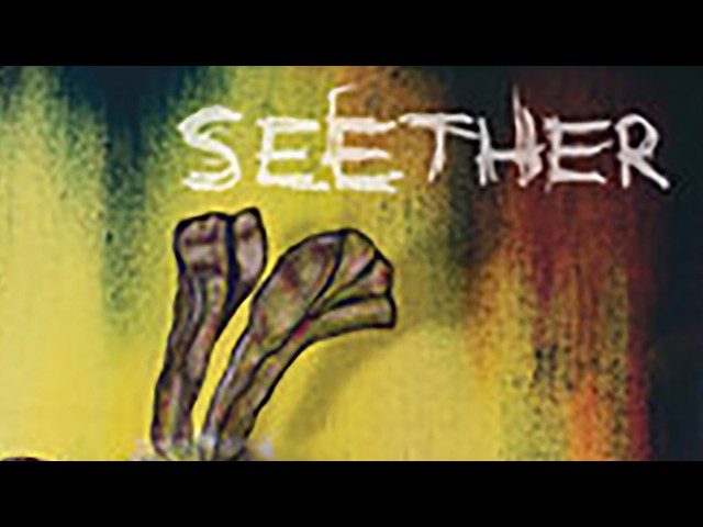 Seether - Nobody Praying for Me (Explicit)