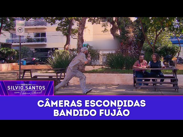 The Runaway Bandit | Hidden Cameras (06/15/25)