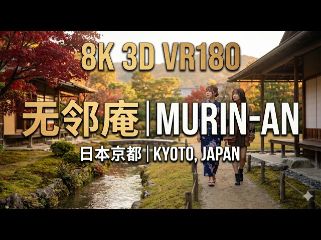 8K3D VR180 | Whispers of Solitude: Murin-an, Japan | 岁月无邻：日本京都无邻庵