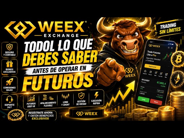 Watch This Before Trading on WEEX | 2026 Futures Guide