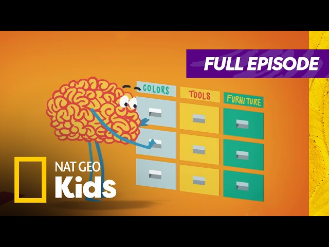 Boost Your Brain this School Year! 🧠💪 | Brain Games Full Episode | Nat Geo Kids