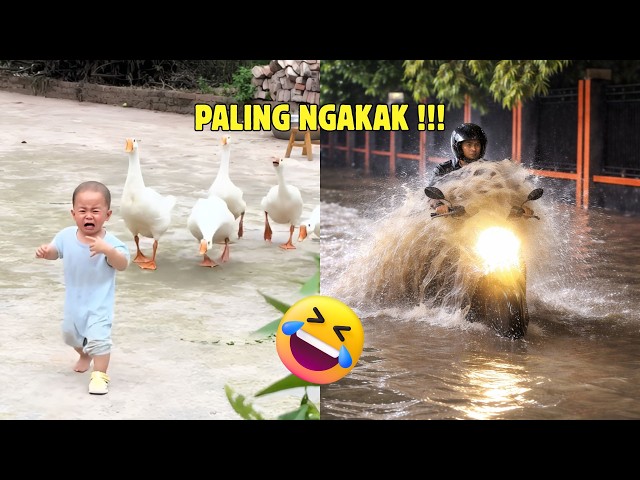 Video Random Warga Plus 62 Paling Ngakak 😭 Part 28
