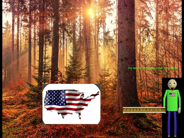 Baldi’s Self-Learning: The United States of America