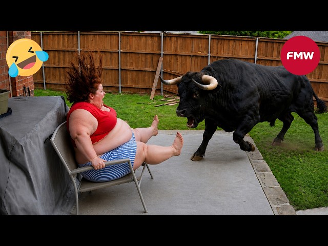 Try Not To Laugh Challenge 😂 99% Will Fail | Funny Videos Compilation 2026 #207