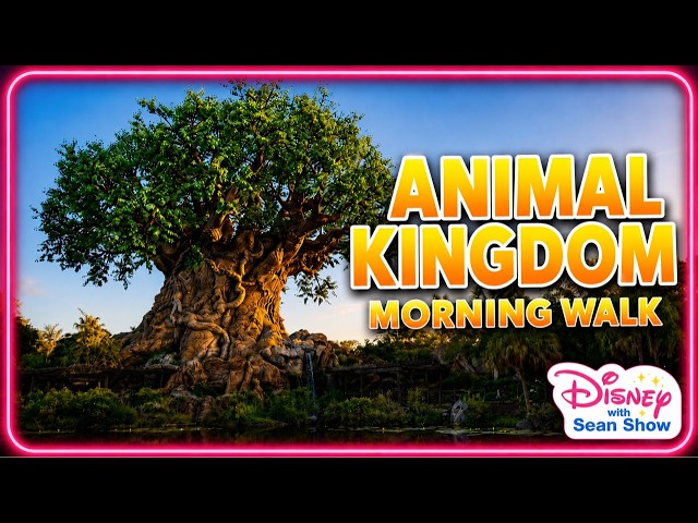 Animal Kingdom Morning Walk at Disney World | Gorilla Falls, Macaw Flight & Disney Nature | Day 350
