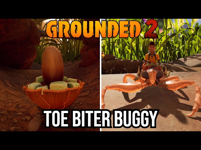 How To Unlock the Toe Biter Buggy in Grounded 2