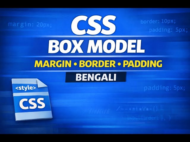 CSS Box Model Explained in Bengali | Margin, Border, Padding