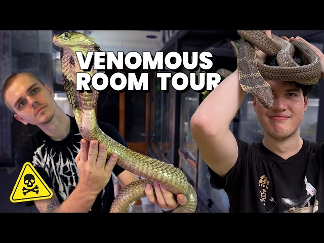 ROOM TOUR & FEEDING WITH CHRISWEET