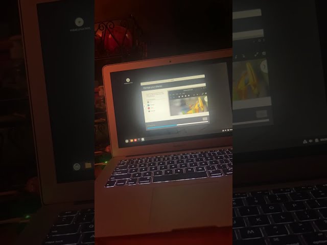 Installing Linux Mint inside MacOS Sequoia 15.7.7 on a unsupported Mac on live