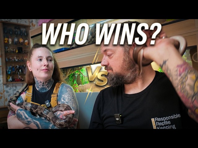 African House Snake vs False Water Cobra: Best Pet Snake?