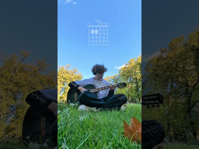 TV - @billieeilish 📺#guitar #guitartabs #guitartutorial #guitarcover #billieeilish #TV #guitarchords