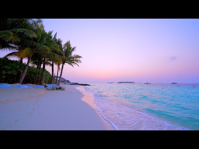 Maldives Beach 4K 🏝 Turquoise  Water, White Sand and Ocean Sounds