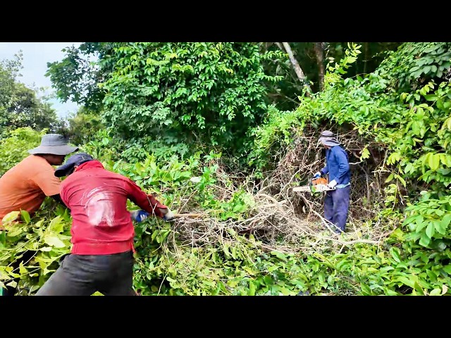 UNBELIEVABLE! 3 Men Battle Through a Jungle to Reach This Abandoned House!