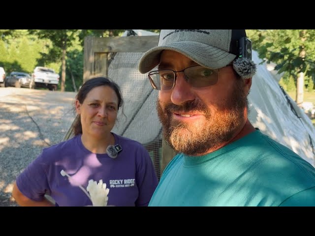 Right on Time.. || Fresh Peas, New Potatoes & Garden Work || June 2026