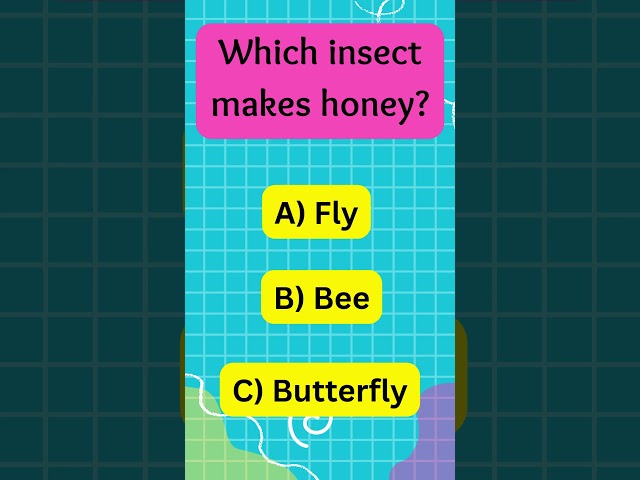 🎯 Fun With Facts | Quick Knowledge That Will Surprise You #FunWithFacts#FunPlatterRiddles#DidYouKnow
