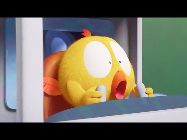 NEW Chicky the Pilot | Where's Chicky? | Cartoon Collection in English for Kids | New episodes