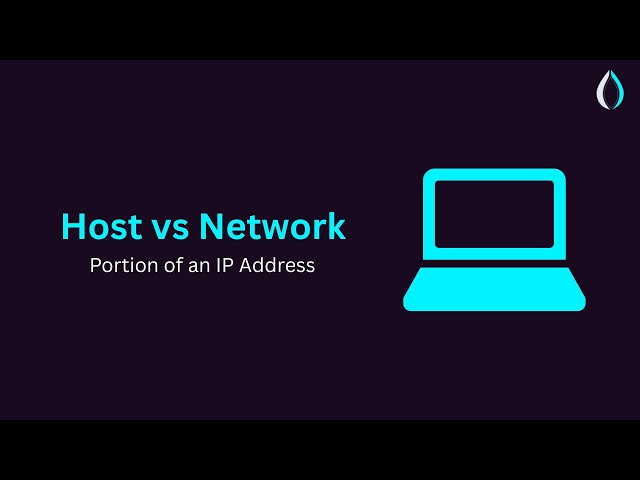 Network Portion vs Host Portion of an IP Address | PLURON studio