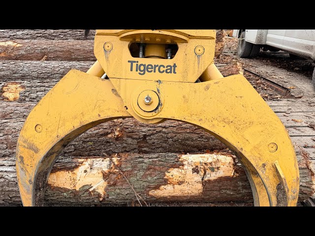 DSL- North Carolina Tree Harvesting 