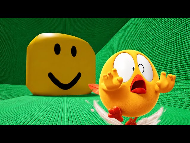 Chicky Plays : Noob Head Escape Obby in ROBLOX - Where's Chicky? ROBLOX