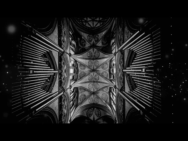 Power-Haus - Simon Pucheu - Cryptic