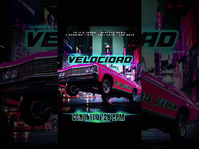 NTG X MESSIAH X YK IT'S JUNAA X TALI GOYA X ALOFOKE - LUZ BAJA - VELOCIDAD CON INTRO 128BPM-DJ_EELEX