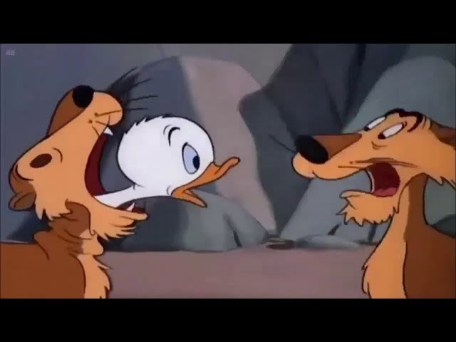 ᴴᴰ Pato Donald y Chip y Dale dibujos animados - Pluto, Mickey Mouse Episodios Completos Nuevo 2019
