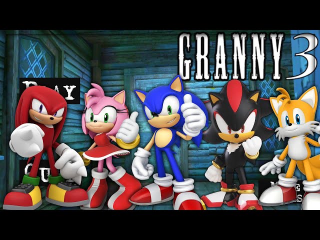 Granny 3 is Sonic, Tails, Shadow, Amy and Knuckles!