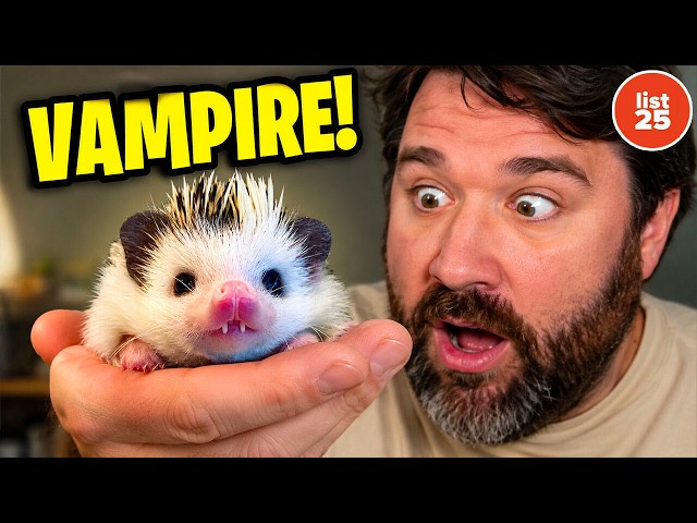 100 Mind Blowing Evolution Facts That Make Earth Feel Totally Alien