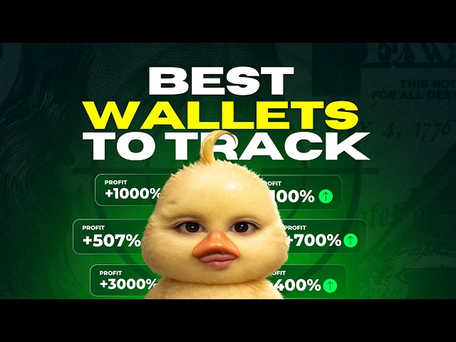 Top 100 Best Wallets To Track (Must Add)