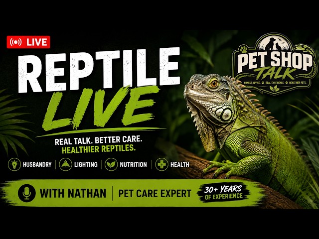 LIVE Reptile Q&A | Bearded Dragons, Snakes, Geckos & More