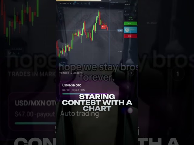 AI TRADING BOT FOR POCKET OPTION | AUTO TRADING ALGORITHM