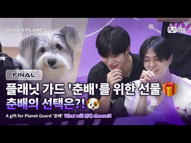 [BOYS ll PLANET/FINAL] 플래닛 가드 '춘배'를 위한 선물🎁 춘배의 선택은?!🐶 | Mnet 250925 방송