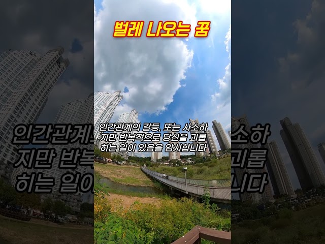 벌레 나오는 꿈 #꿈해몽 #예언 #예지몽 #밥