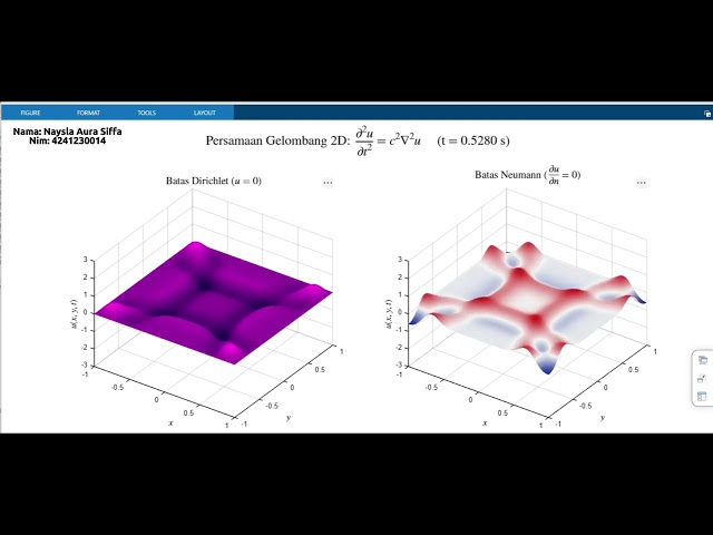 Simulasi Persamaan Gelombang 2D dengan Batas Neumann dan Dirichlet dengan MATLAB