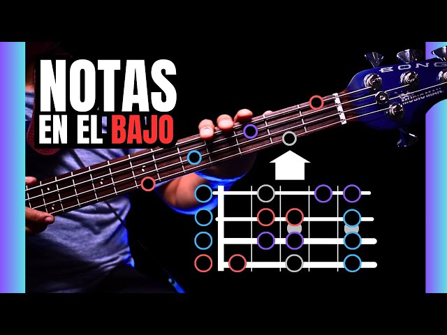 Finding the notes on Electric Bass | Tutorial