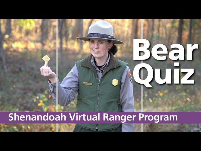 Virtual Ranger Program: Bear Quiz!