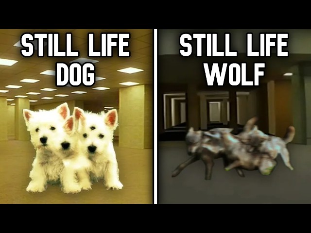 The Still Life Variants You Never Knew About | Backrooms Movie Explained