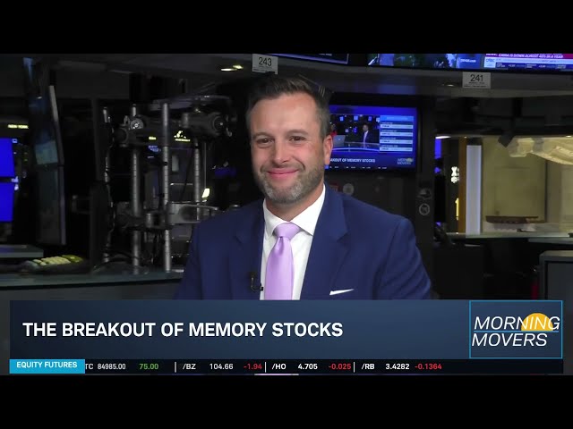 Pettit: Mag 7 Still Strong, MU & SNDK Have Years of Upside