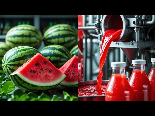 Inside Modern Factory: How Watermelon Is Processed | From Farm to Juice & Packaging (24/7 LIVE)