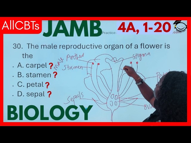 40 Most Likely JAMB 2026 BIOLOGY Questions & Answers