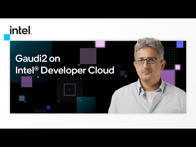Gaudi2 on Intel® Developer Cloud | Intel Software