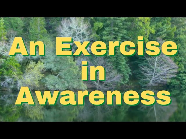 The School of Practical Philosophy's Exercise in Awareness