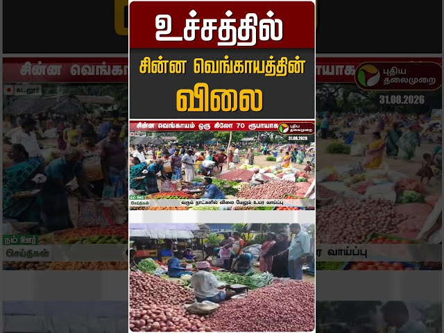 உச்சத்தில் சின்ன வெங்காயத்தின் விலை #shorts