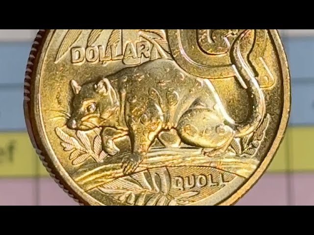 YES The Quoll $1 Coin and Let’s Search This Coin Roll For Extra Value - Follow Along