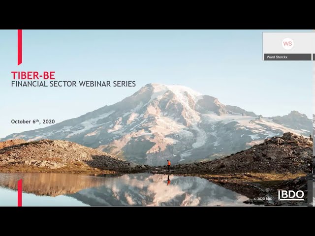 Introduction to the TIBER BE Framework