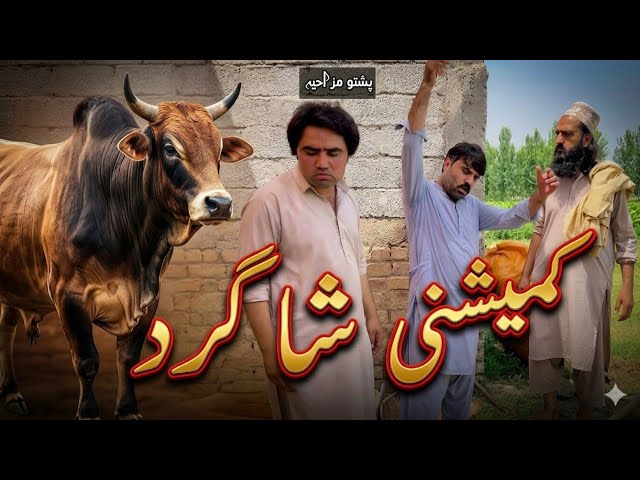 kamishani Aw Ostad g | Pashto Funny Video | Pashto Comedy Video By BD Vines 2026 #bdvines 