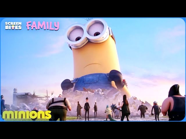 The Best of The Minions | Minions (2015) & Despicable Me (2010) | Screen Bites Family