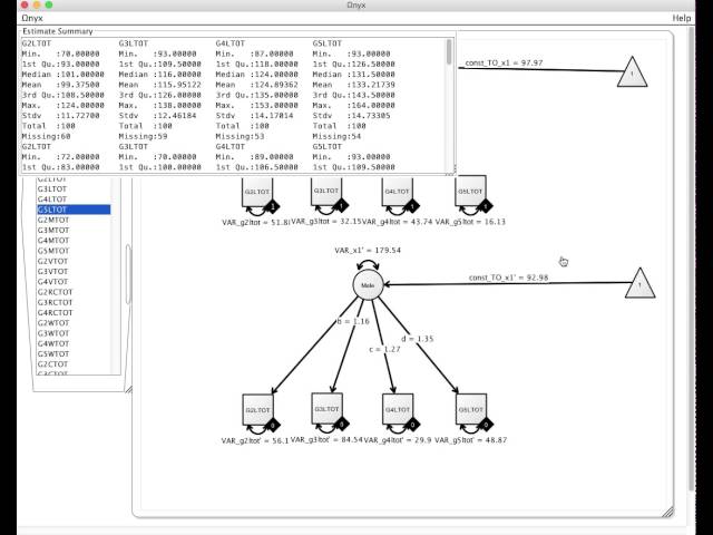 Multigroup Models in SEM using Ωnyx