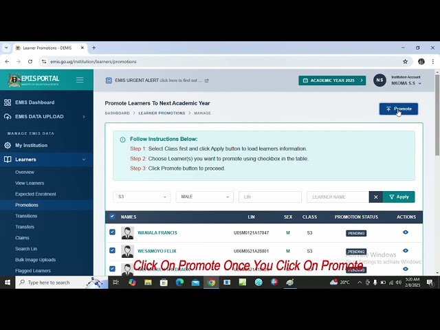 How to promote Learners on EMIS Portal this Academic year 2025